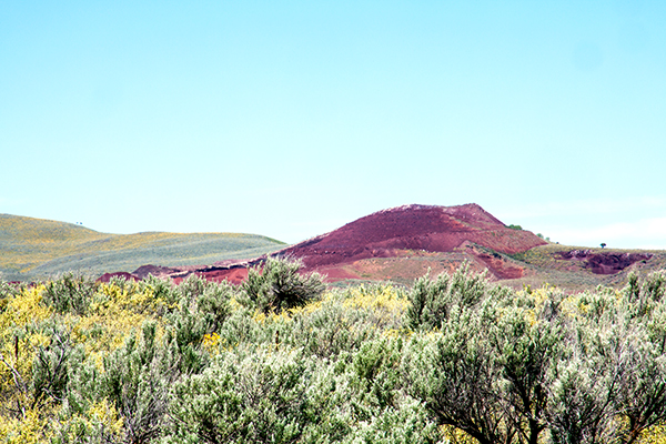 Red Butte at Saint Anthony Sand Dunes ~ © Copyright All Rights Reserved John William Uhler