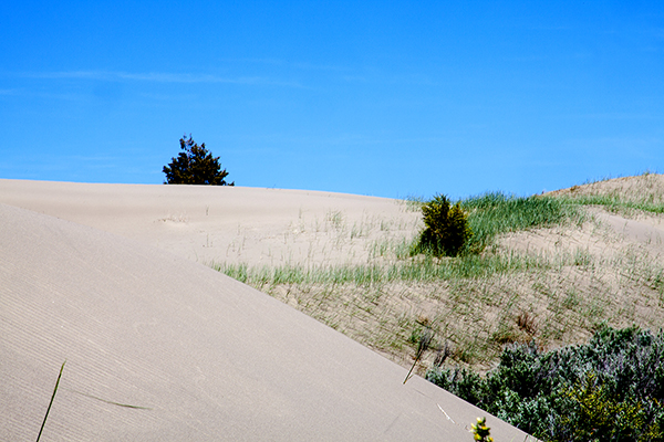 Saint Anthony Sand Dunes ~ © Copyright All Rights Reserved John William Uhler